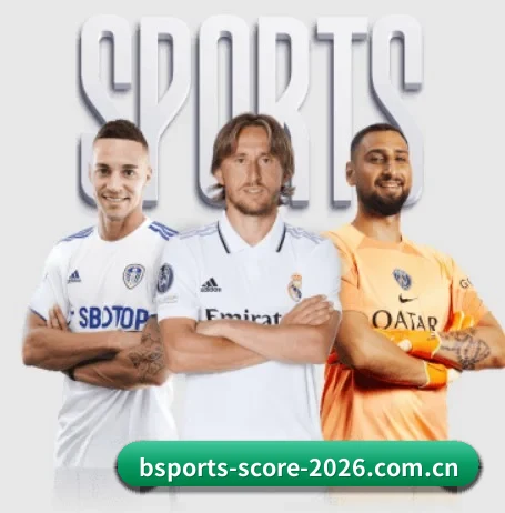 bsport的核心发展理念与愿景