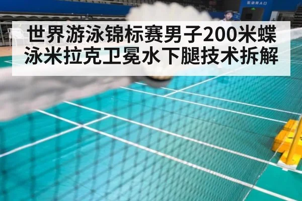 世界游泳锦标赛男子200米蝶泳米拉克卫冕水下腿技术拆解